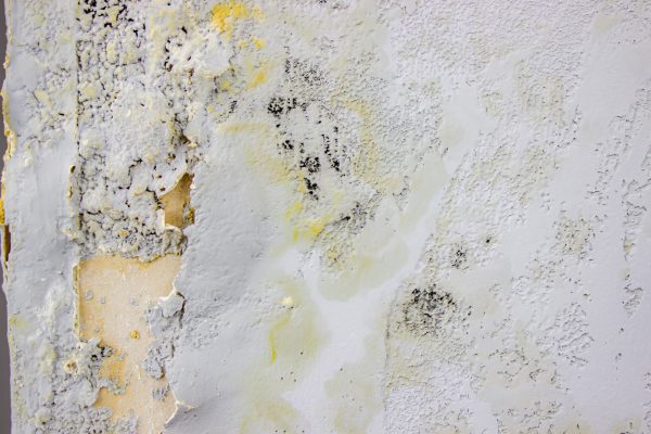 black mold on the wall. Fungus on the wall after the flooding of the house.